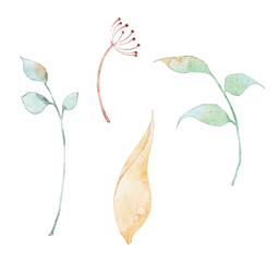 green leaves isolated on white background