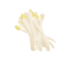 もやしのシンプルな手描きカラーイラスト
