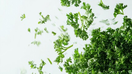 Fresh Green Parsley Leaves Falling on Camera Against White Background