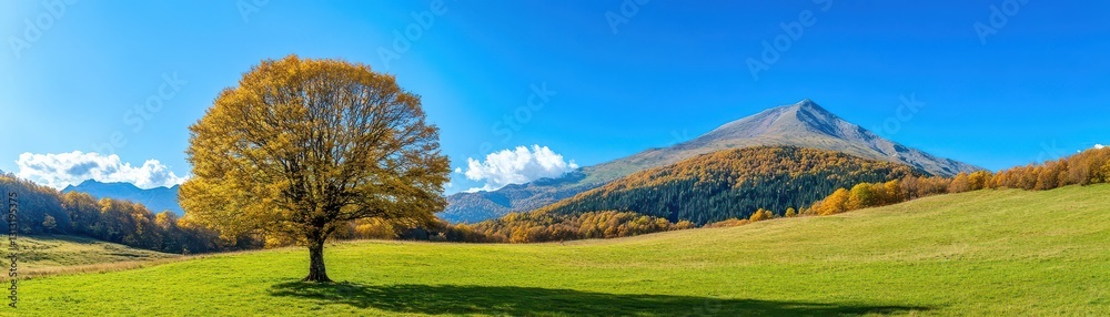 Aufkleber majestic lone tree standing tall in a wide open field under clear blue sky with green grass and wide