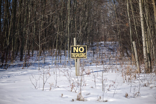 No Resspassing sign in snowy forest