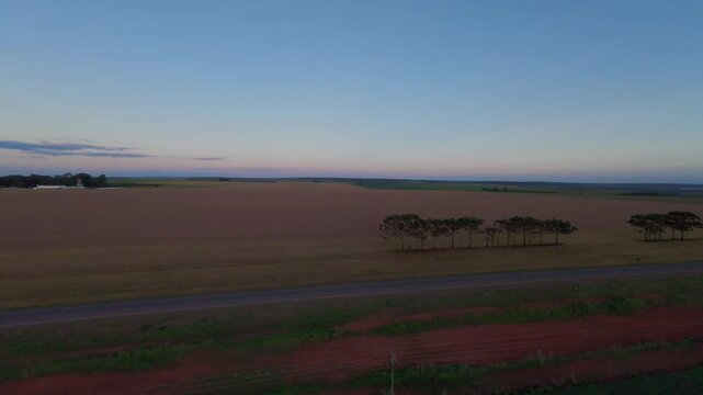 Vast soybean plantation in S&atilde;o Jo&atilde;o da Alian&ccedil;a, Goias, Brazil, bathed in the warm hues of dusk, creating a serene and picturesque agricultural landscape, aerial view