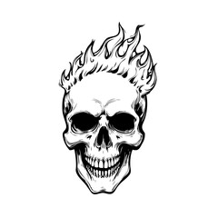 Skull head with fire illustration
