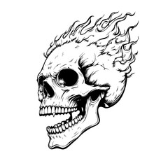 Skull head with fire illustration