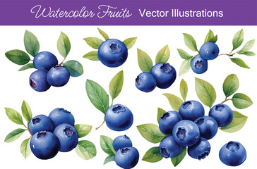 Watercolor Blueberries Fruits Vector Collection | Generative AI
