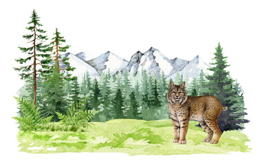 Lynx wild feline animal in forest nature landscape painted illustration. Hand drawn bobcat American native wildlife forest animal in natural habitat. Lynx rufus wildcat woodland predator illustration