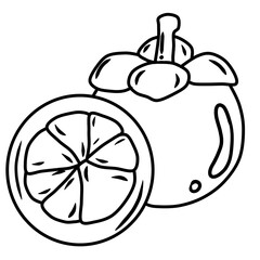 line art mangosteen