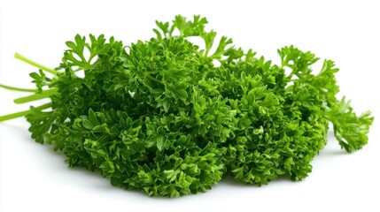 Fototapeta premium Fresh Green Parsley Bunch on White Background for Culinary Use