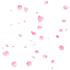 Falling Flower Petals Elegantly Isolated on a Transparent Background for Romantic and Floral Designs