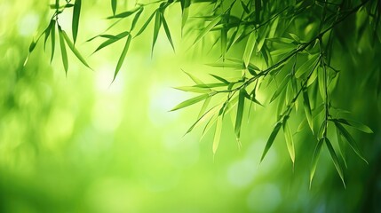 Naklejka premium Green Bamboo Leaves on a Blurred Background