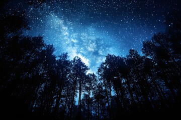 Starry night forest canopy view