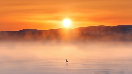 Heron fishing at sunrise tranquil lake nature photography misty environment serene viewpoint peaceful concept