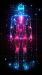 Naklejka premium Digital human anatomy, body structure, glowing, technology, medical illustration