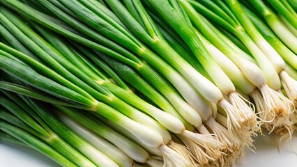 Macro Top View Green Onions, Fresh Spring Onions, Culinary Herbs, Vibrant Green Texture