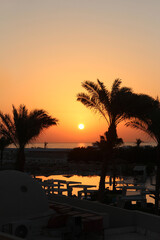 Beautiful sunset landscape of a resort with palm trees in Hurghada, Egypt
