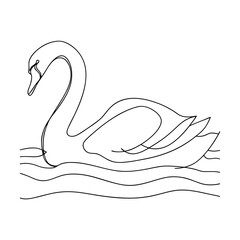 Elegant SingleLine Swan Drawing, Water, Graceful, Bird, Nature