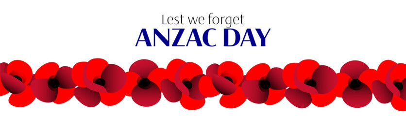 Anzac day vector horizontal banner with poppy flowers on white background