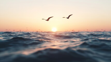 Obraz premium Serene sunrise seascape seabirds over calm waters in tranquil coastal nature photography