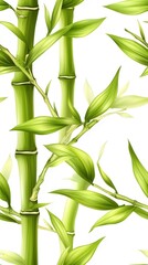 Obraz premium Majestic bamboo tree displaying tall stalks and lush green leaves against a clear sky in a minimalist style