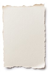 Fototapeta premium Textured torn edge of fine art paper with a soft neutral tone for creative projects : Generative AI