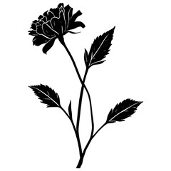 Black flower silhouettes in vector style, isolated on a white background.


