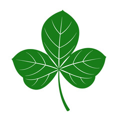 St Patrick Leaf Clipart