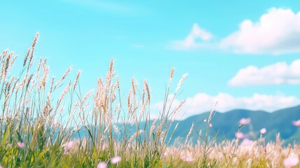 Serene Landscape with Tall Grass Against Blue Sky and Mountains