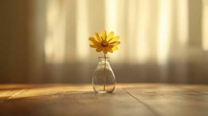 Delicate flower gracefully displayed in a stylish vase symbolizing beauty and a positive mindset in daily life