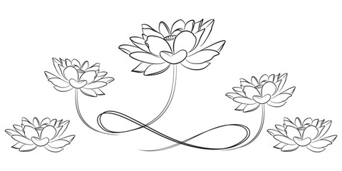 Elegant Lotus Flower Line Art Illustration