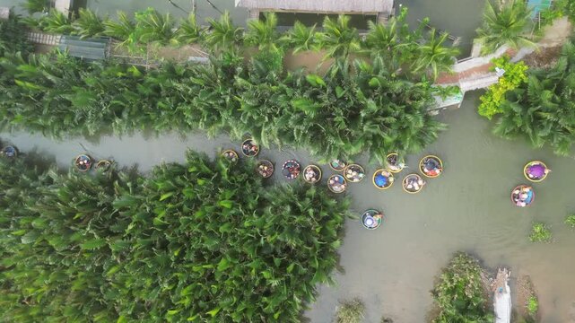 Aerial view of basket boats trip in coconut forest, Hoi An, Vietnam.