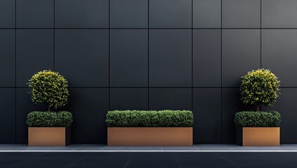 Urban planters against dark wall
