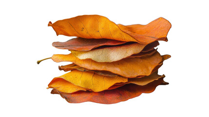Fototapeta premium Stack of colorful autumn leaves on transparent background