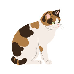 座っている三毛猫のイラスト