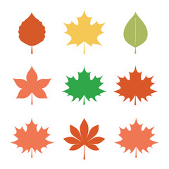 Collection of Various Tree Leaf Silhouettes on White Background.