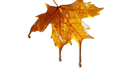Fototapeta premium Honey dripping from a maple leaf on transparent background