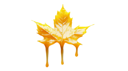 Honey dripping from a maple leaf on transparent background