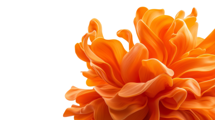 Closeup of a vibrant orange flower on checkered plaid background, burst of color and pattern