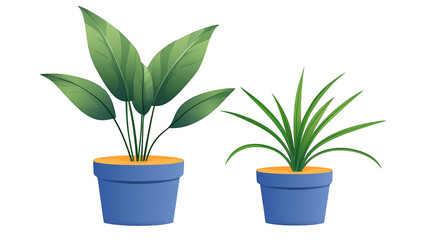 Fototapeta premium Two potted plants flourishing in sunlight, a touch of green serenity for cozy spaces