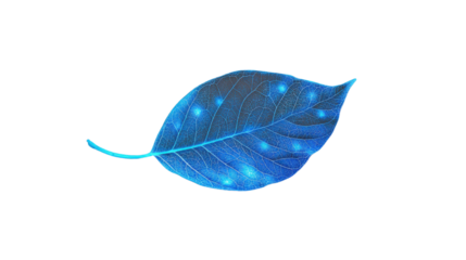 Glowing blue leaf with transparent background representing nature and technology