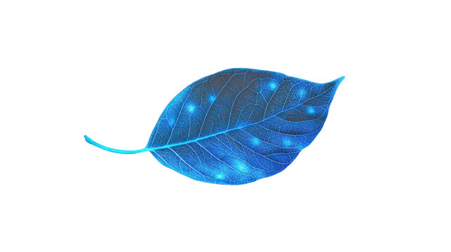 Glowing blue leaf with transparent background representing nature and technology