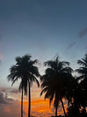 Obraz premium palm trees at sunset