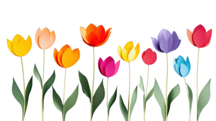 Colorful paper tulips growing on transparent background