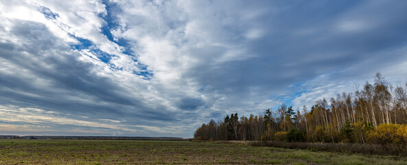 Cloudy sky with a few trees in the background