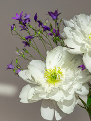 Bouquet of white flowers with purple flowers in the background