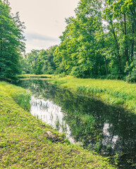 River with a green forest on either side
