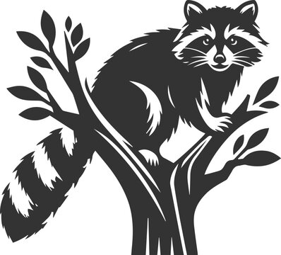 black raccoon sitting in tree clip art preview