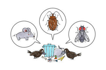 ゴミ置き場と生物(カラス、ネズミ、ゴキブリ、ハエ)