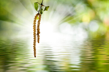 Fototapeta premium Golden blossoms sway gracefully above a shimmering water surface in a serene natural landscape during a bright afternoon