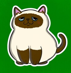 himalayan cat illustration with background