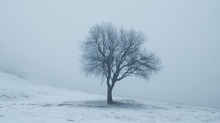 A solitary tree stands in a snowy landscape, shrouded in mist, creating a serene and tranquil winter scene.